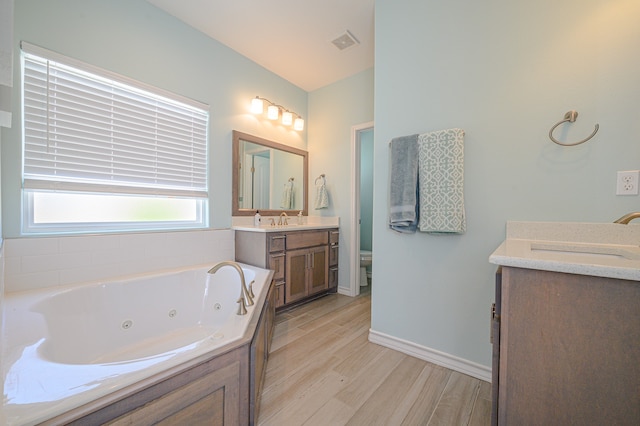 bathroom with vanity and wood-type flooring