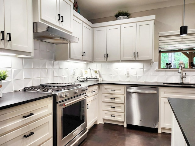 kitchen with dark countertops, under cabinet range hood, stainless steel appliances, and a sink