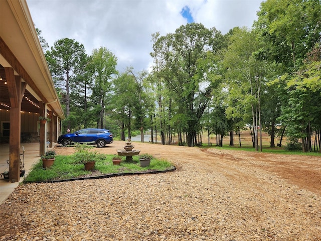 view of yard featuring dirt driveway