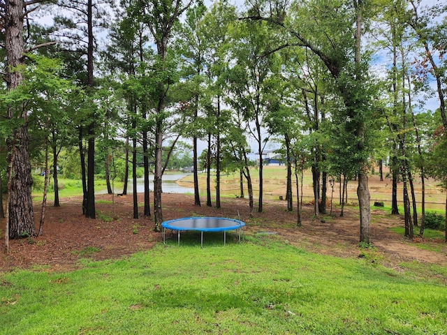 view of yard featuring a trampoline