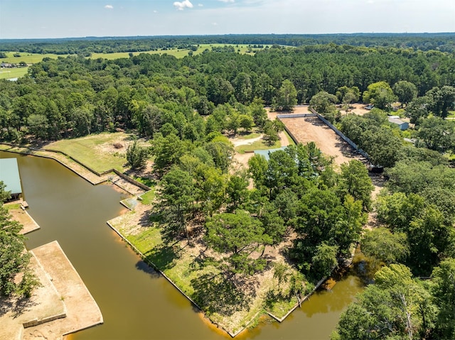 bird's eye view featuring a water view and a forest view