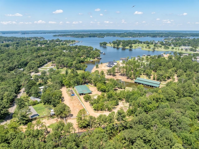 birds eye view of property with a forest view and a water view