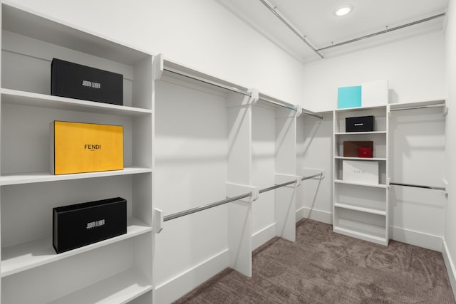 spacious closet with carpet