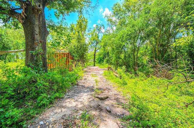 5505 T C Jester Blvd, Houston, TX 77091