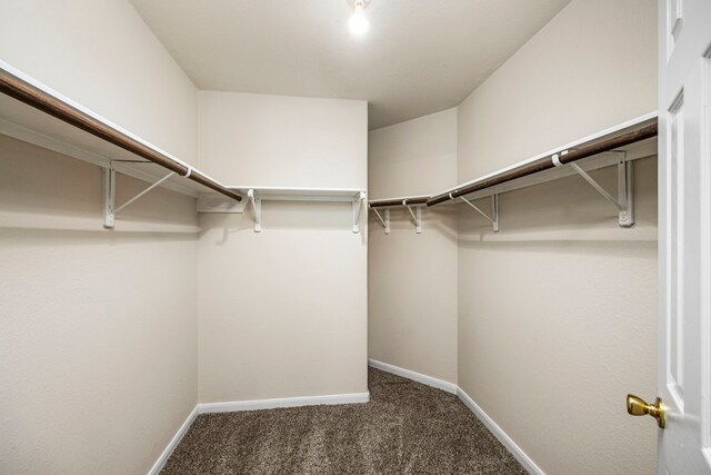 walk in closet featuring dark carpet