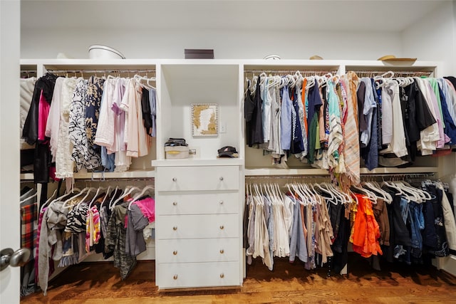 spacious closet with hardwood / wood-style flooring