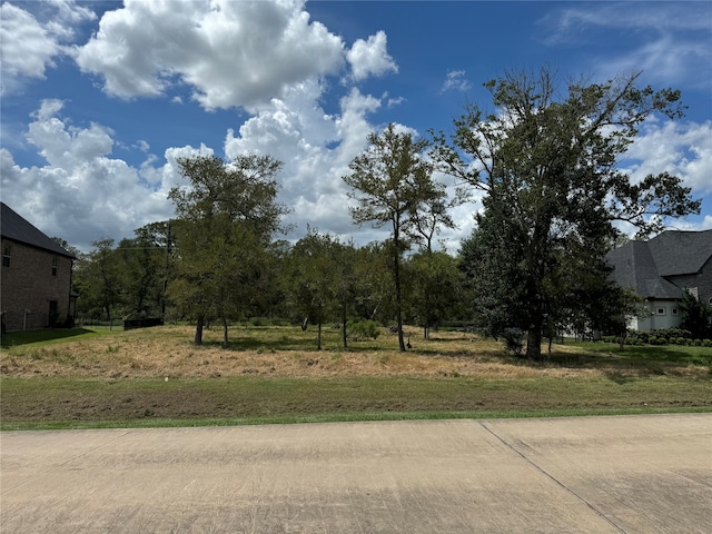 Listing photo 2 for 1014 Royal Lakes Manor Blvd, Richmond TX 77469