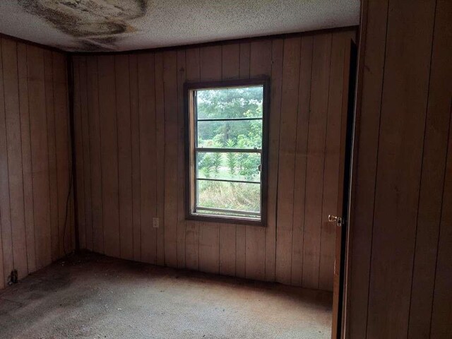 carpeted spare room with a textured ceiling