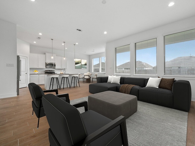 living room featuring light hardwood / wood-style floors and sink