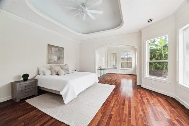 bedroom with ceiling fan, a raised ceiling, dark hardwood / wood-style floors, and multiple windows