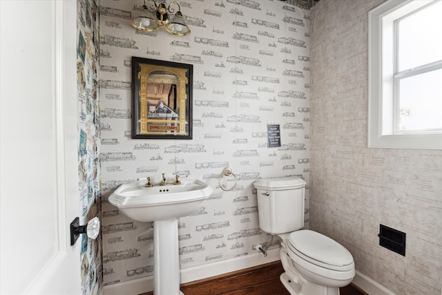 bathroom with toilet and hardwood / wood-style flooring