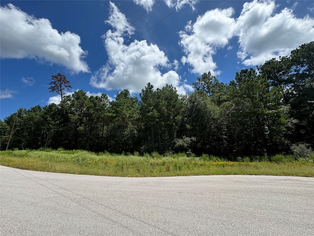 21-29-11 Diamond Ln, Huntsville TX, 77340 land for sale