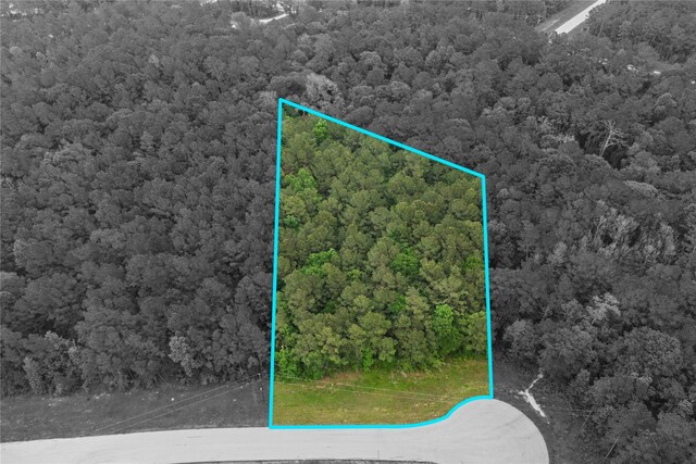 21-29-11 Diamond Ln, Huntsville, TX 77340