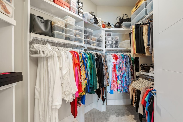 spacious closet with carpet flooring