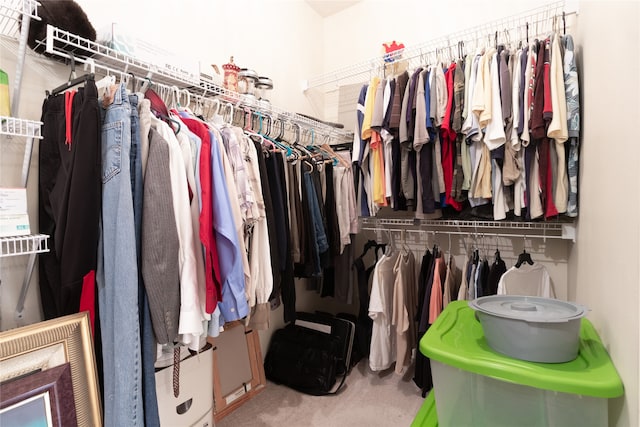 spacious closet with carpet