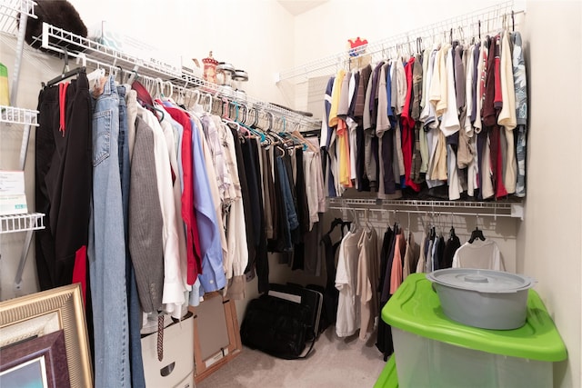 spacious closet featuring carpet