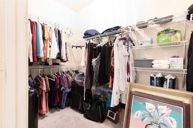 spacious closet with carpet