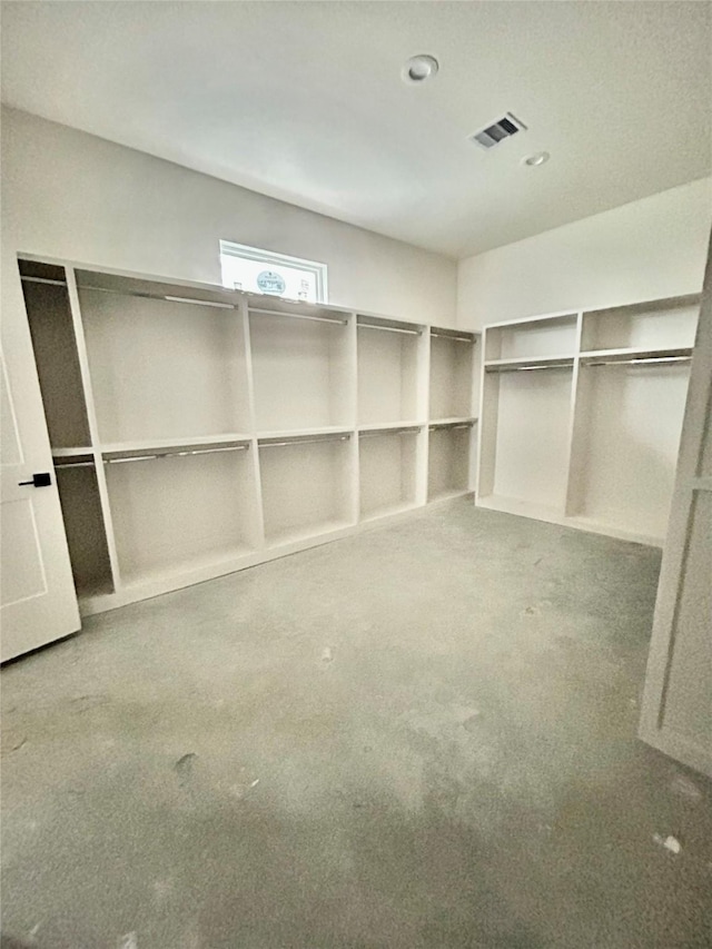 view of spacious closet