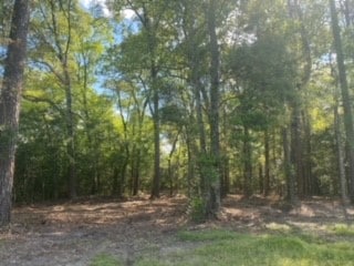 Listing photo 2 for TBD Highway 150, Coldspring TX 77331