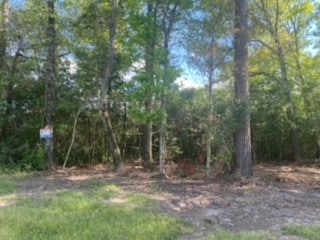 Listing photo 3 for TBD Highway 150, Coldspring TX 77331