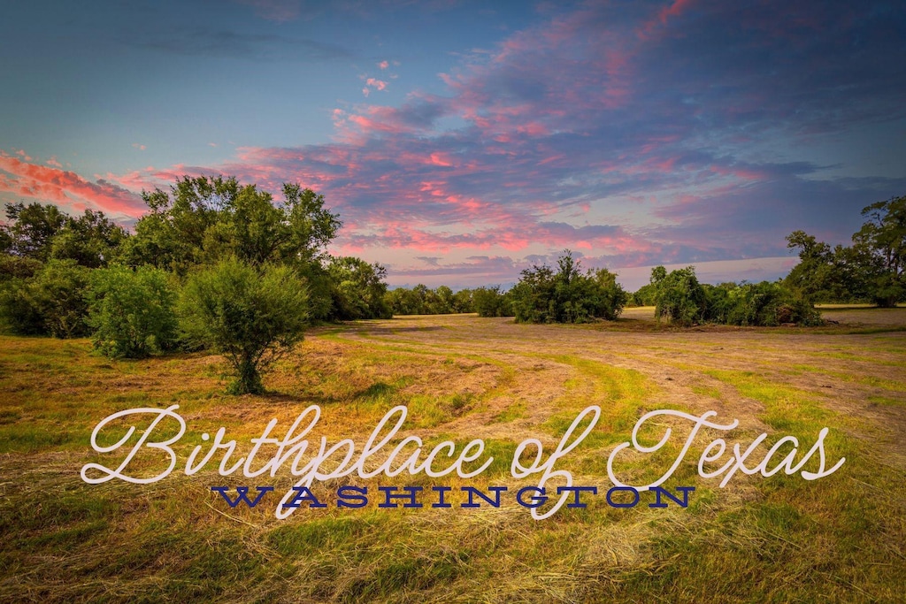 TBD Brown College Ln, Washington, TX 77880