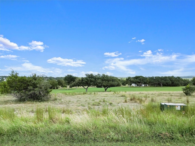 219 Lewis Todd, Blanco, TX 78606 - photo 17
