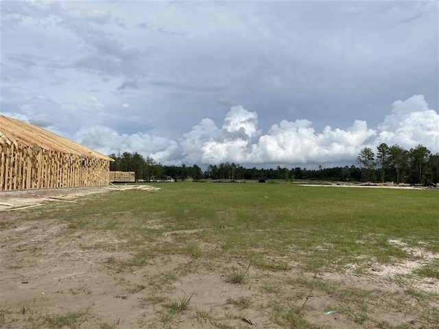 view of yard with a rural view