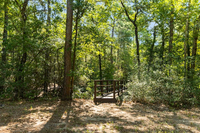 1-3-3 Texas Grand Rd, Huntsville, TX 77340