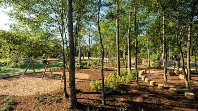 view of jungle gym