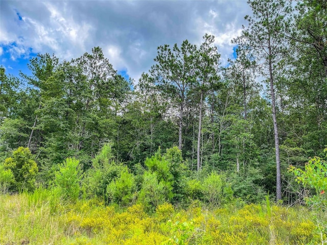 TBD State Highway 87, Kirbyville, TX 75956 - photo 4
