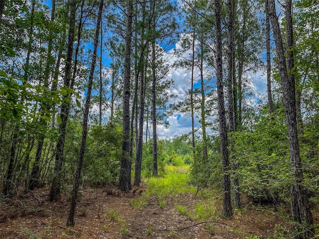 TBD State Highway 87, Kirbyville, TX 75956 - photo 6
