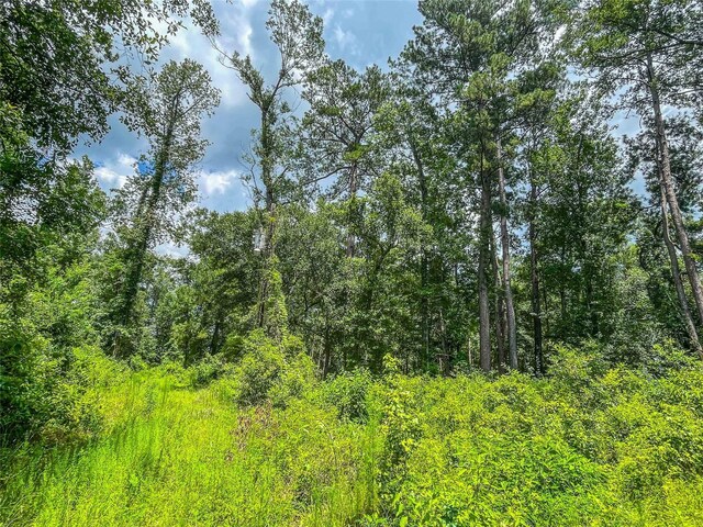 TBD State Highway 87, Kirbyville, TX 75956 - photo 31