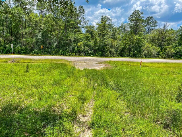 TBD State Highway 87, Kirbyville, TX 75956 - photo 32