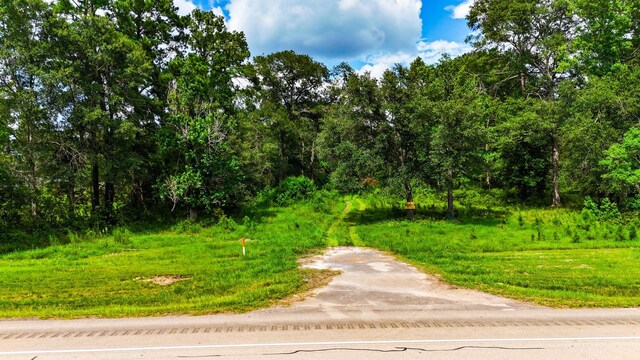 TBD State Highway 87, Kirbyville, TX 75956 - photo 33