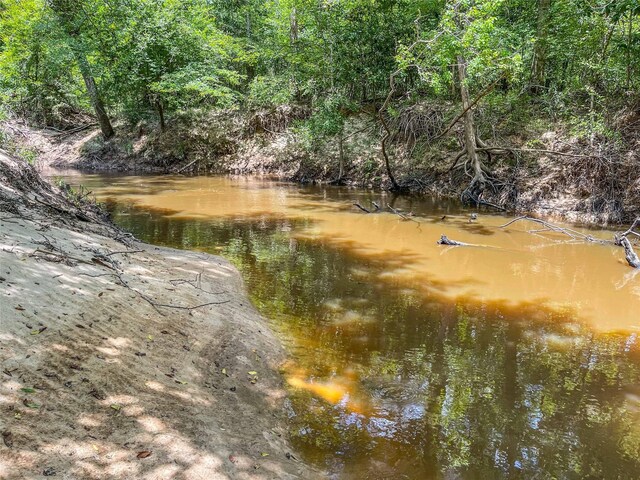 TBD State Highway 87, Kirbyville, TX 75956 - photo 26