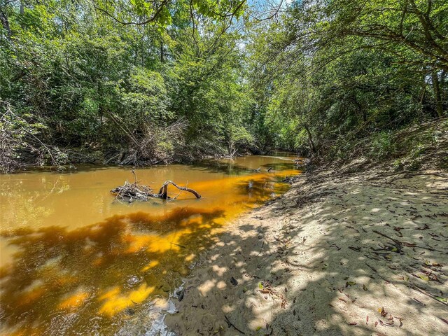 TBD State Highway 87, Kirbyville, TX 75956 - photo 27