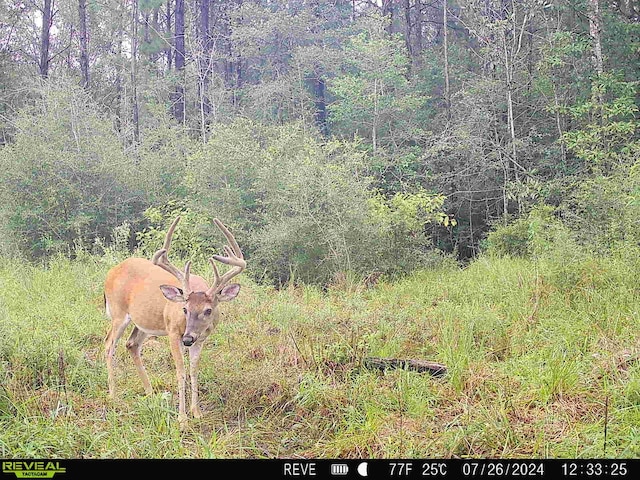 TBD State Highway 87, Kirbyville, TX 75956 - photo 40