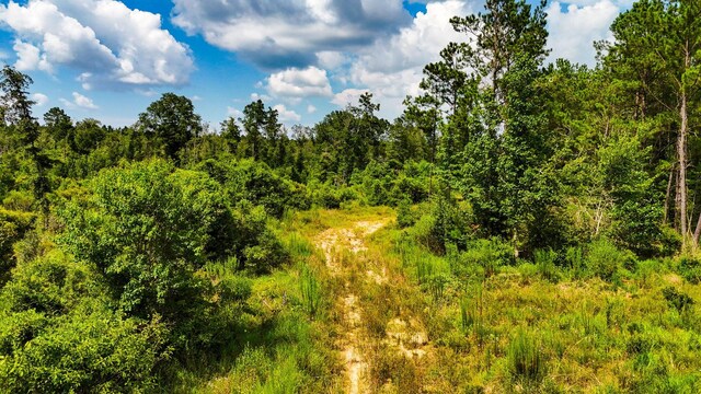 TBD State Highway 87, Kirbyville, TX 75956 - photo 18