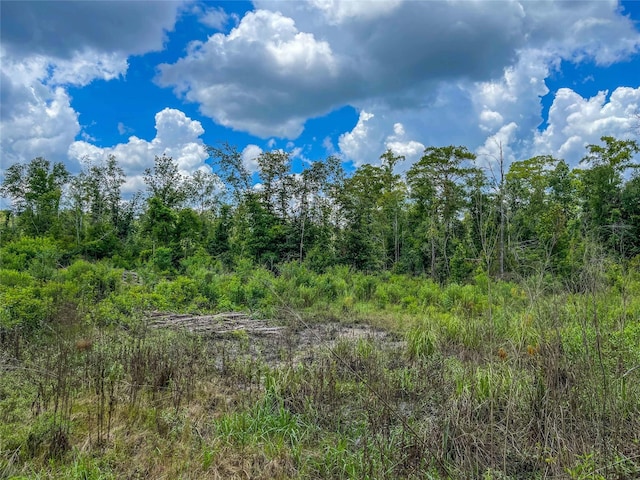TBD State Highway 87, Kirbyville, TX 75956 - photo 11