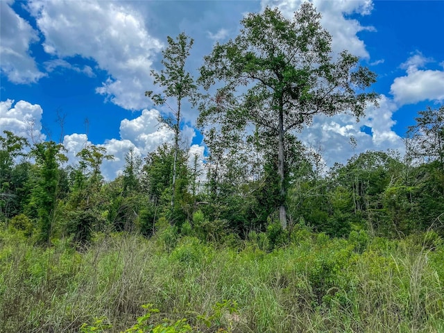 TBD State Highway 87, Kirbyville, TX 75956 - photo 12