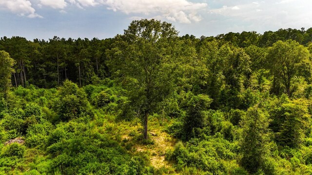 TBD State Highway 87, Kirbyville, TX 75956 - photo 15