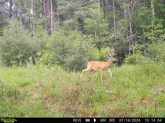 TBD State Highway 87, Kirbyville, TX 75956 - photo 46