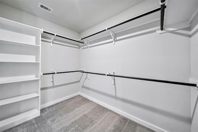 spacious closet featuring carpet