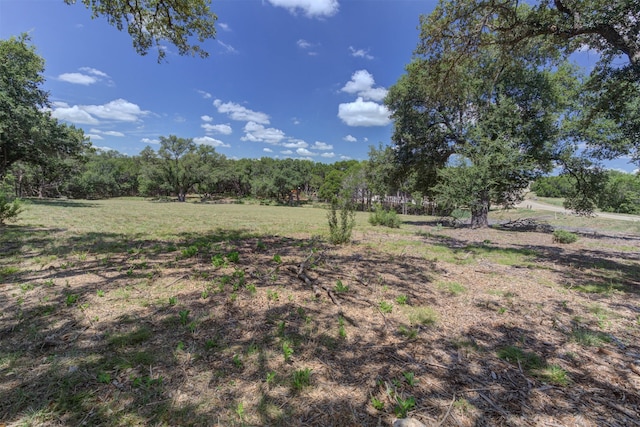 Listing photo 3 for 27227 Eichenbaum Rd, New Braunfels TX 78132