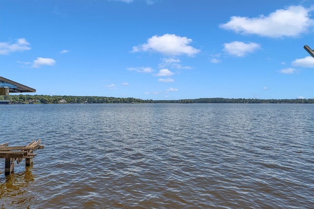 view of water feature