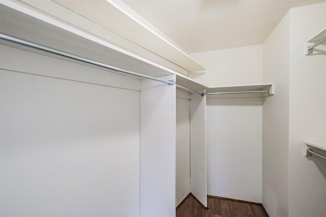 walk in closet with dark wood-type flooring