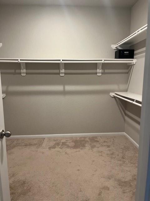 walk in closet with carpet floors