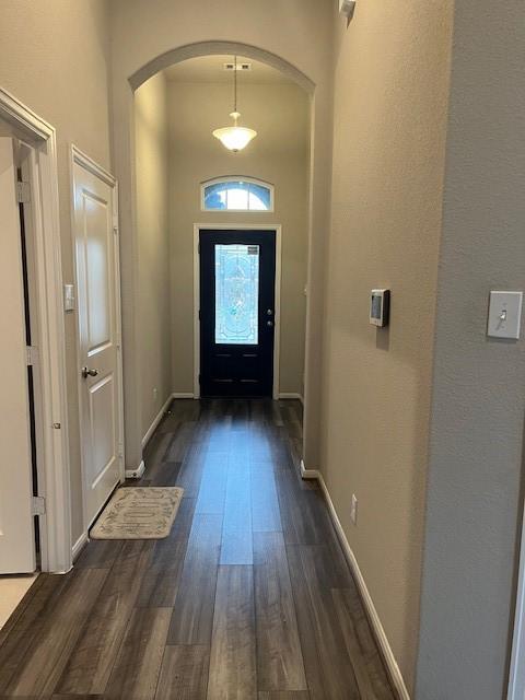 foyer entrance with dark hardwood / wood-style flooring