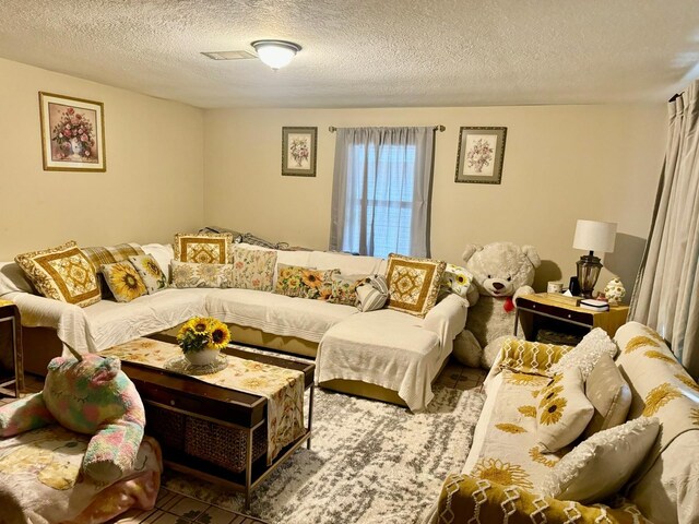 living room featuring a textured ceiling