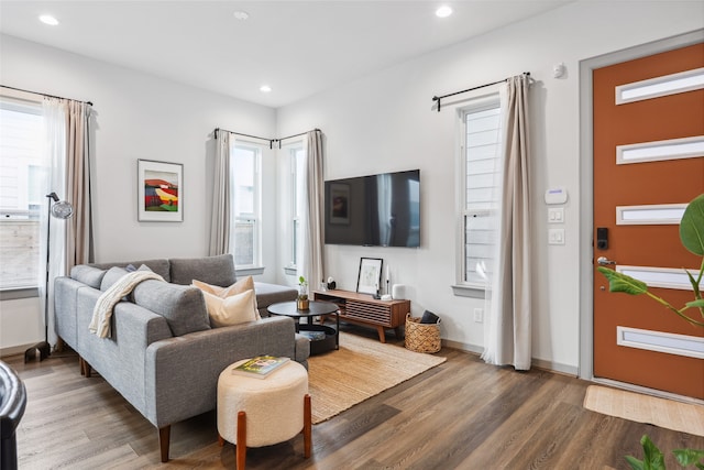 living room featuring hardwood / wood-style flooring